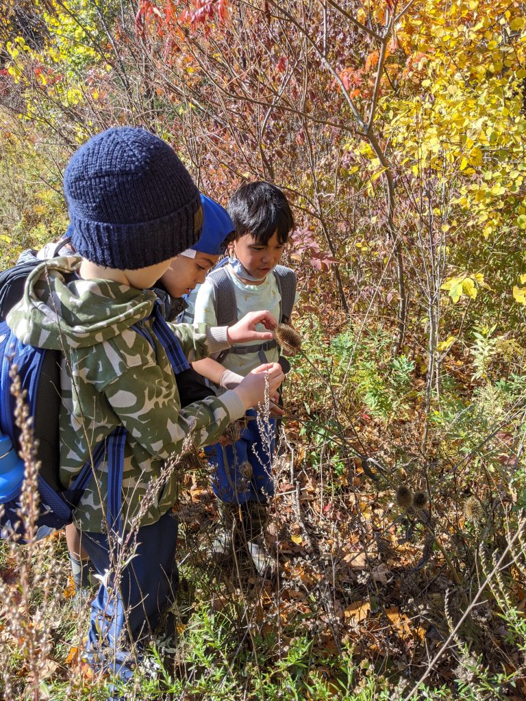 students appreciating nature