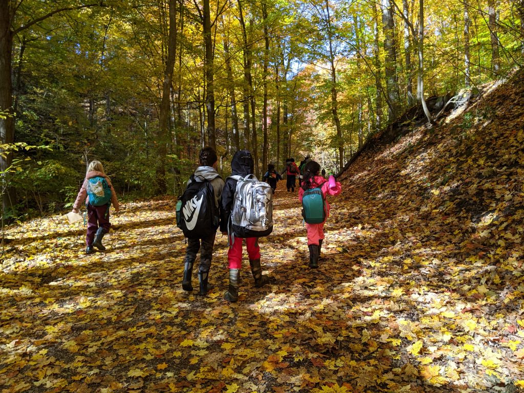 Students hiking in the forest