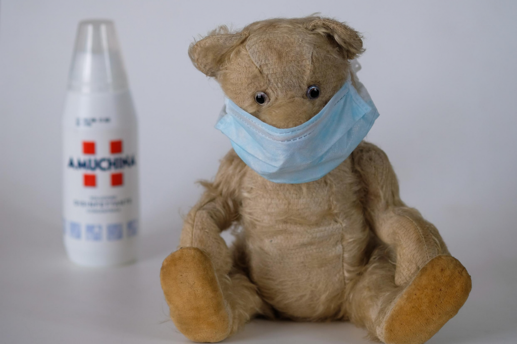 Teddy Bear wearing a face Mask