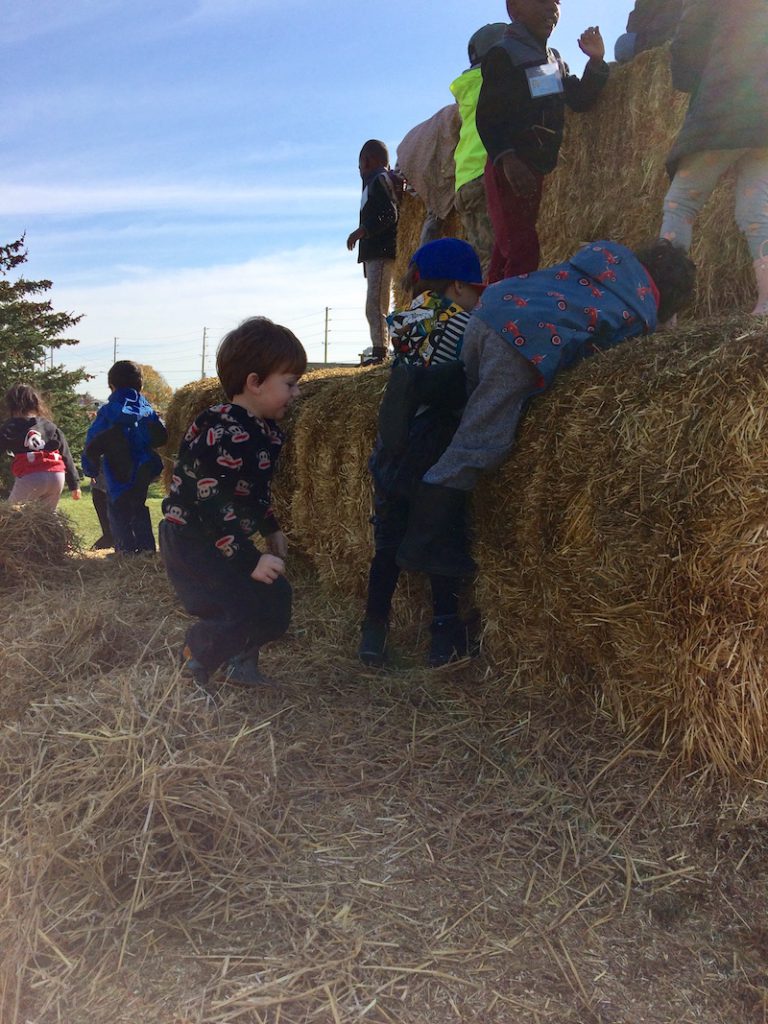 Hay bales