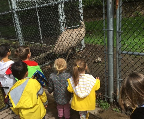 Students looking at large bird in cage