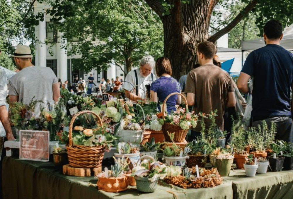 outdoor farmers market