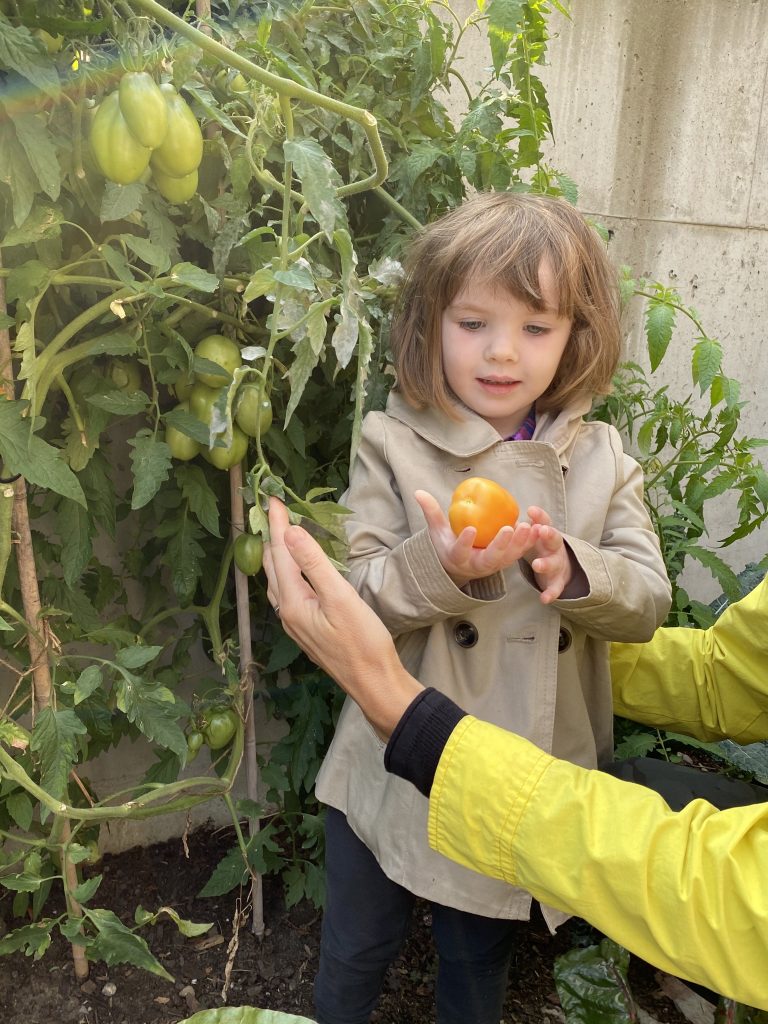 Student with bell pepper