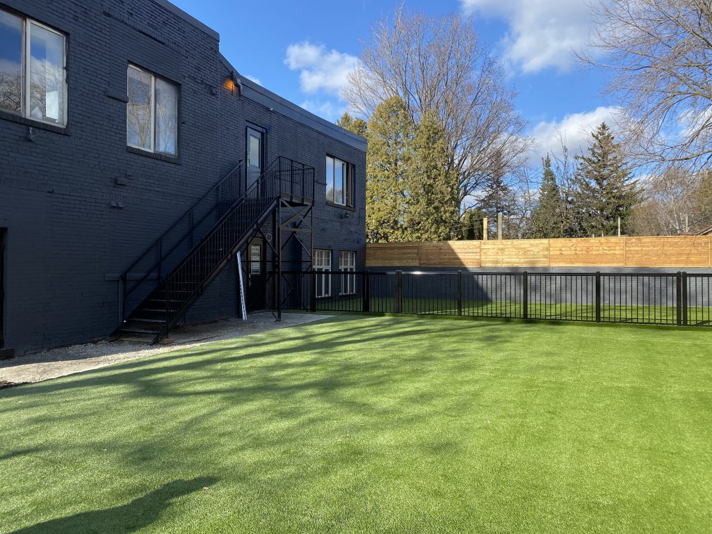 Backyard and Building Transformation