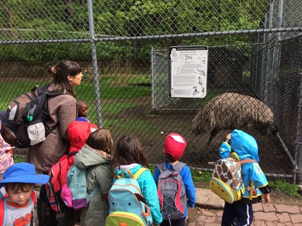 Students and Teacher Reading about Large bird
