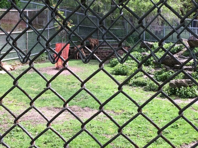 Zoo
