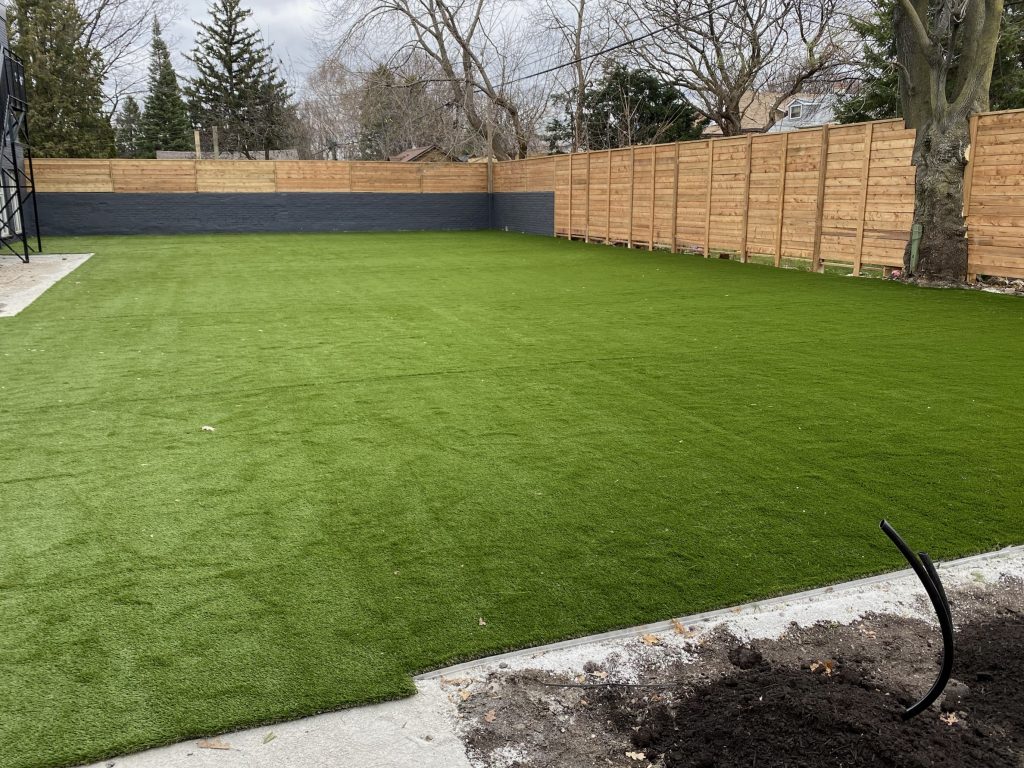 Backyard Transformation