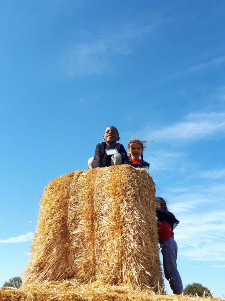 Students on a hay bale
