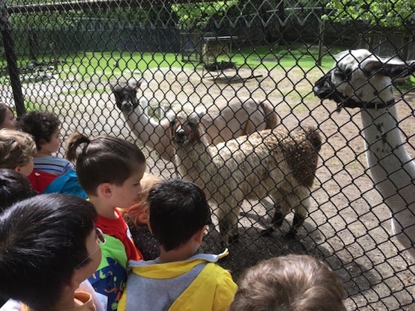 Students and Animals