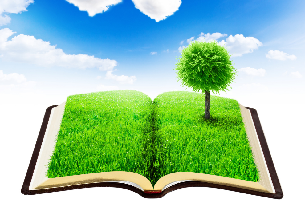 Book illustration