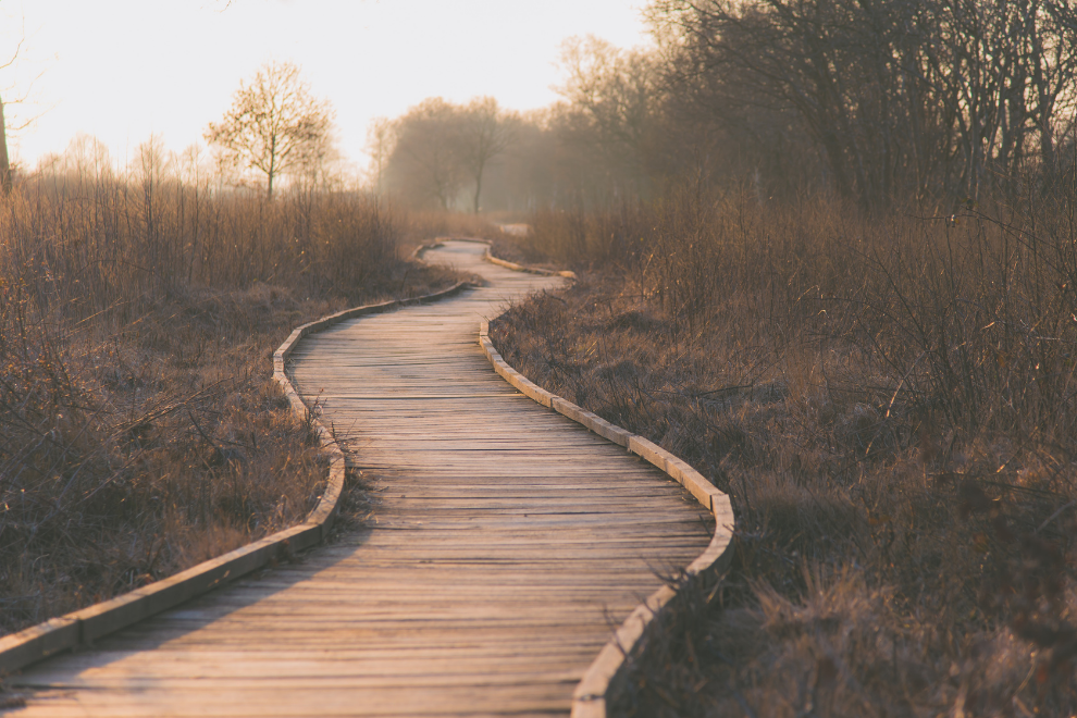 Wooden bridge