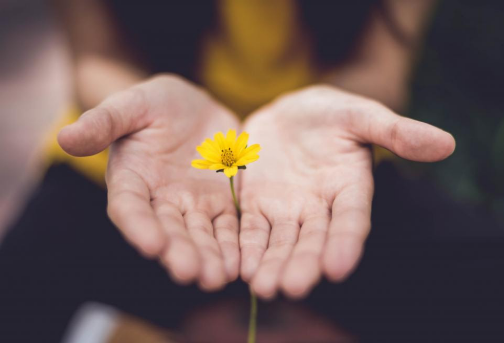 Flower in hands