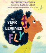 Image of the cover of the children's book, "The Day We Learned To Fly." There's a young girl on the cover looking up at the sky.