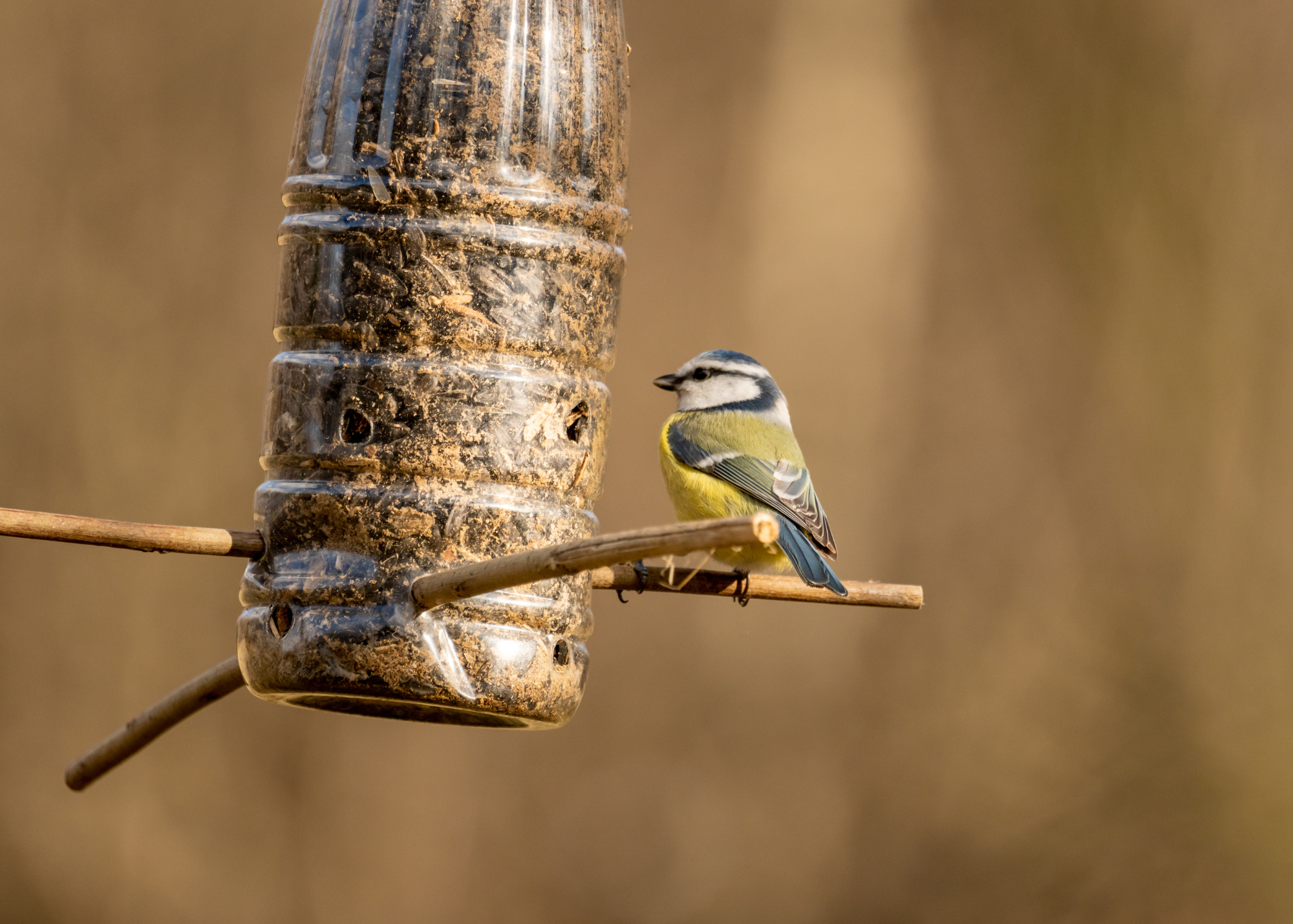 Spring Blog Post photo 3