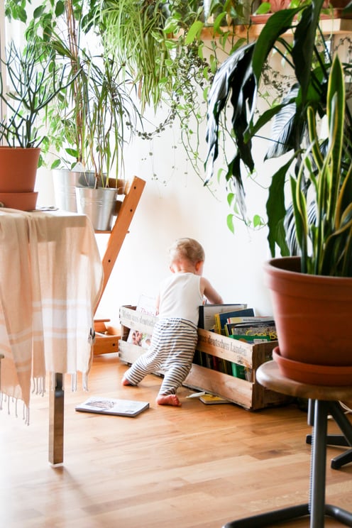 baby looking for books in book box