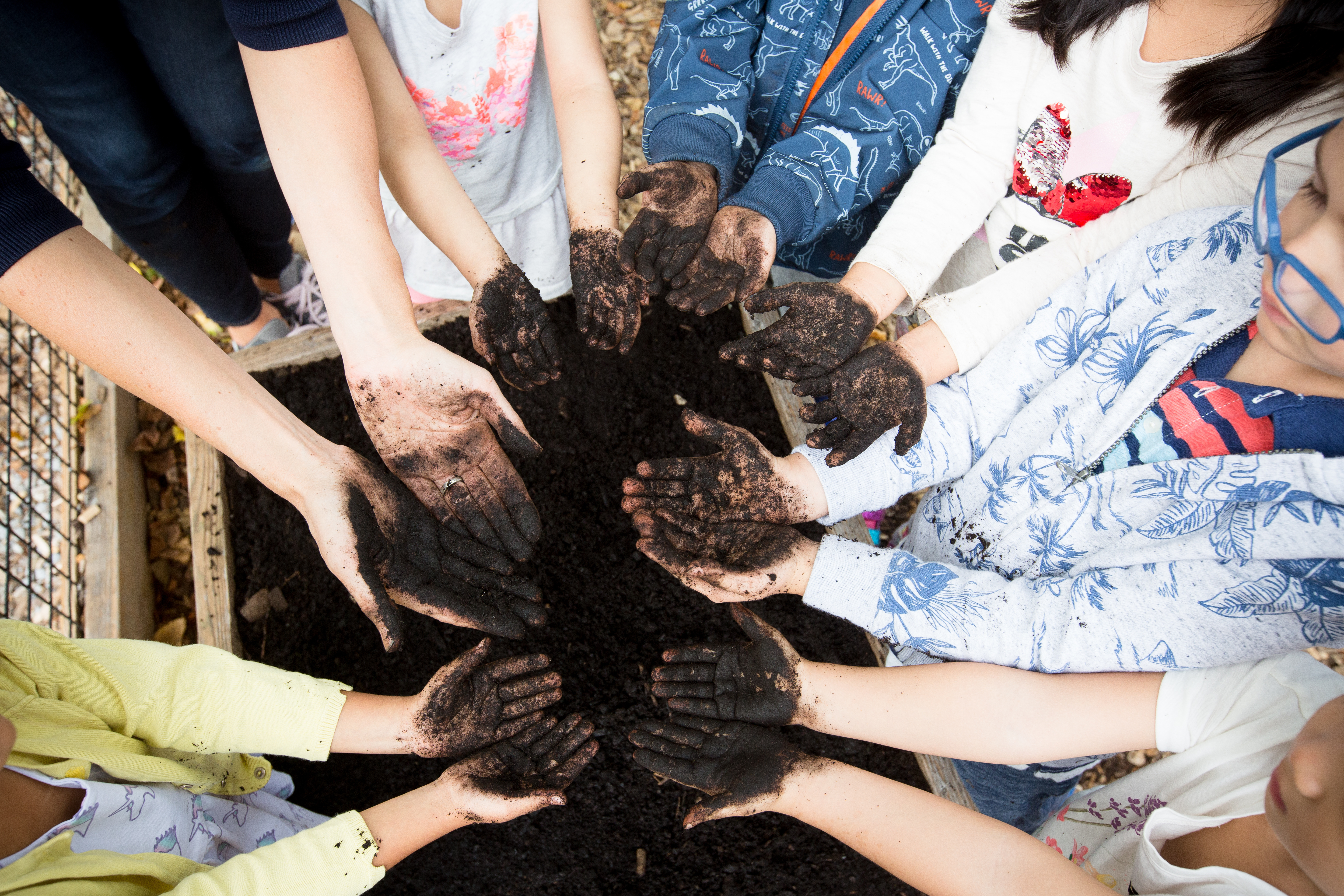 Nurturing Growth: The Power of Gardening for Children